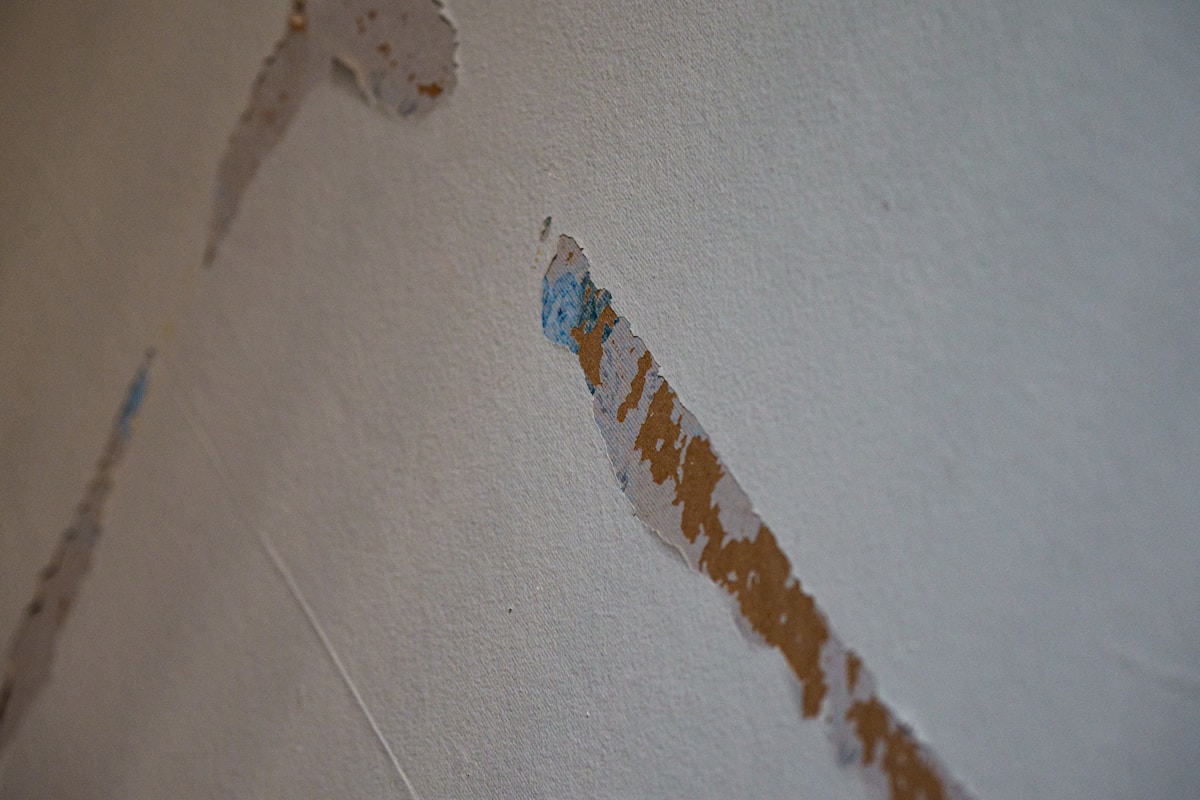 Basement Water Removal service in Lewisville, TX